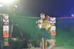 teach you MMA in 15 days