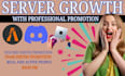fivem server promotion, discord server promotion, fivem server ads with mass dm