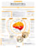 create a custom and professional infographic