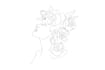 draw one line art, unique single line art