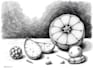 create pen and ink drawings and object illustrations