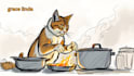 make ai generated cat funny promotional youtube viral videos