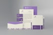 design a professional logo with fast delivery