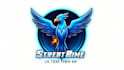 make amazing blue phoenix bird logo design in 12 hours