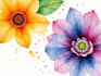 paint watercolour botanical illustrations