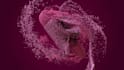 do 3d abstract art illustration art music abstract art