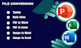 do files conversion, data entry, typing, PDF to excel, word to excel etc