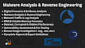 do reverse engineering, malware analysis, and log analysis