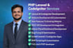 fix, debug and customize your laravel or PHP website