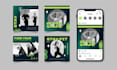 design custom social media post