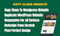 redesign website, copy clone wordpress website, woocommerce store