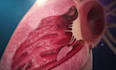 do 3d medical animation, 3d anatomy video, surgery video  and procedure
