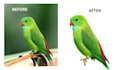 do professional background removal