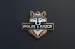 create exclusive and marvelous lion logo design