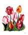 create a custom hand painted botanical illustration