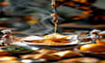 generate ai food photography, miniature feasts, food animation using midjourney