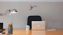 design professional zoom virtual background, and custom logo