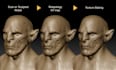 do clean quad retopology for your 3d model or scan