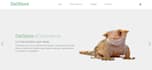 paginas web profesional con HTML, CSS y javascript o PHP