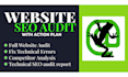 expert technical SEO audit and penalty recovery action plan