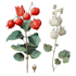 paint watercolour botanical illustrations