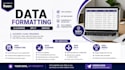 do excel data cleaning, formatting, split and merge files