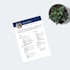 design and redesign professional resumes, cvs, and PDF