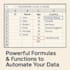 clean format and organize your excel spreadsheets professionally