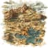 draw fantasy map illustration dnd map city map vector map