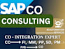 provide you consultancy in functional modules fi, co, sd, pp