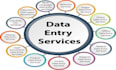 be your professional virtual assistant for erp, data entry, and admin tasks