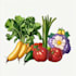 paint vegetables, fruits, flowers and plants illustrations