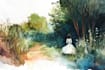do paint watercolour botanical illustrations