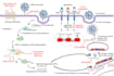 create scientific chemistry illustrations, graphical abstract, figures diagrams