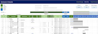 be your business analyst and project manager
