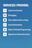 do all kinds of your assignments efficiently