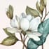 paint watercolour botanical illustrations