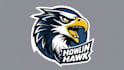design super howlin hawk mascot logo with express delivery