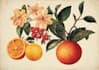 create a beautiful vintage botanical illustration poster
