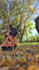 do dog ugc photos and german videos