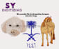 do embroidry digitizing image into dst,pes,exp,jef