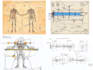 make scientific illustrations, figures, diagrams and patent drawings