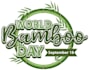 design a awesome bamboo logo