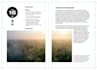 design a professional layout for your magazine or catalog