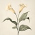 do botanical illustration with scientific focus
