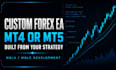 develop a custom forex expert advisor for mt4 or mt5