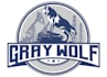 design a excellent wolf logo
