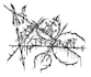 draw you a metal logo