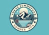 make high quality summer pool spa logo with express delivery