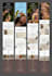 design shopify email newsletter design